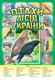Книга "Птахи лісів України