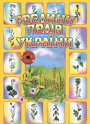 Рослини полів України