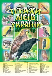 Книга "Птахи лісів України Книга "Птахи лісів України