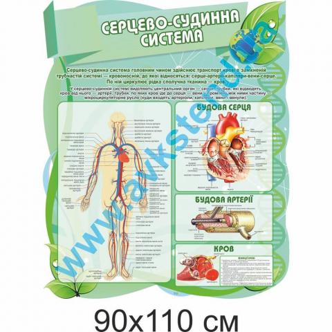 Стенд "Серцево-судинна система" Стенд "Серцево-судинна система"